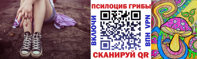 Псилоцибиновые грибы Psilocybe  Купить  Старый Оскол 